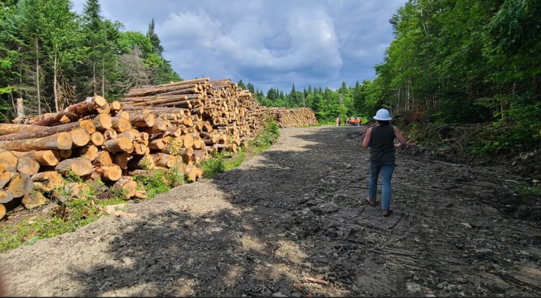 State, new owners to discuss fate of Conn. Lakes Headwaters Logging Tract | News, Sports, Jobs - Vimarsana News
